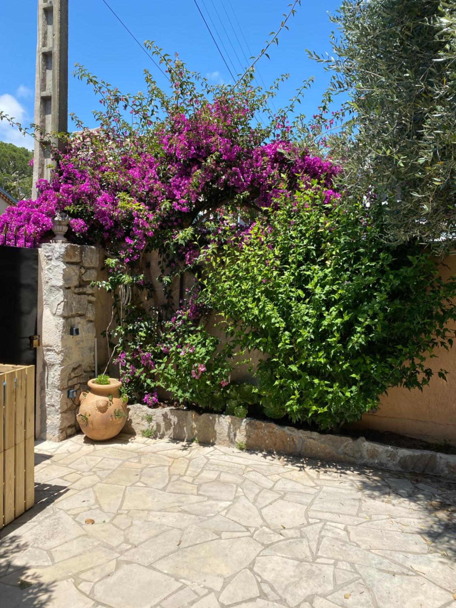 3p Calme En Rdj - Quiet 2 Bedroom With Large Terrace Appartement Cannes